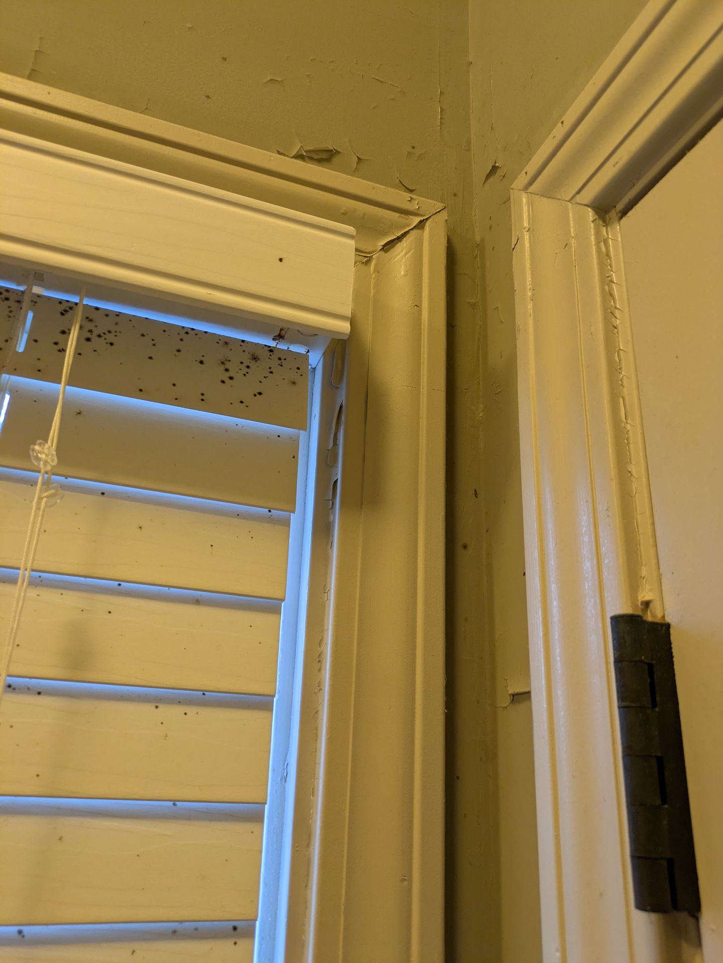 Exterior siding replacement on a historic Athens GA cottage